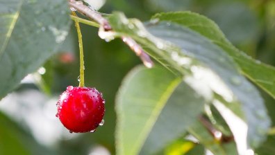 Времето в неделя: Очакват ни превалявания на места, температурите ще са между 26-31 градуса