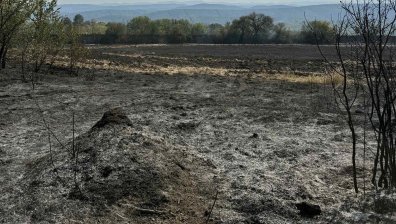България е сред 10-те най-засегнати от горски пожари държави в ЕС