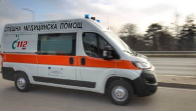 Отрязано дърво премаза дете в Монтанско