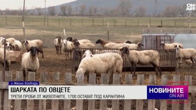 Обедна емисия
