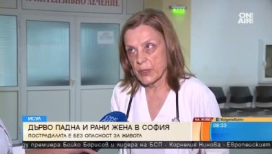 Счупен глезен и фрактури по таза за ударената от дърво жена