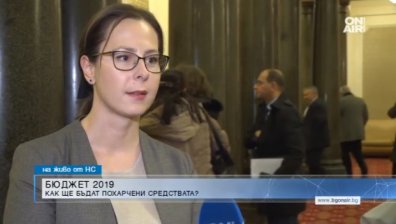 Парламентът прие окончателно Бюджет 2019