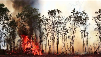 Кратка история на глобалното затопляне