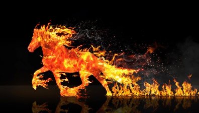 Фъншуй съвети за изобилие през 2026 г.