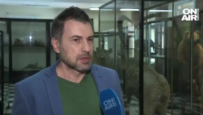 Загрижени за изчезващите видове: Експозиция разказва за бялата мечка