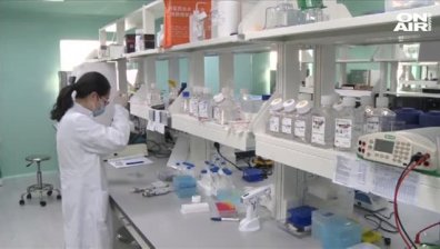 Учени с пробив: Разработиха метод за регенерация на бели дробове