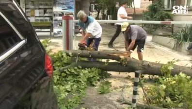 Мощна буря в Русе прекърши дървета и едва не потроши коли