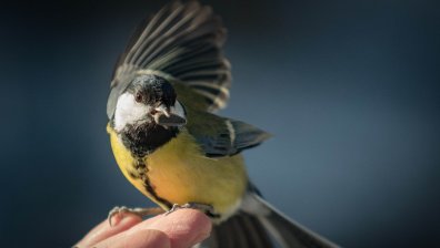 Горещ понеделник с температури до 34 градуса