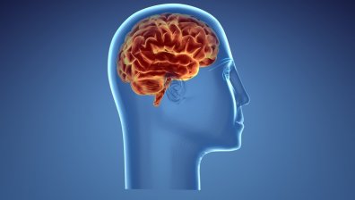 Функциите на мозъка намаляват след 45- годишна възраст
