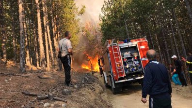 Гора пламна край пазарджишкото село Априлци