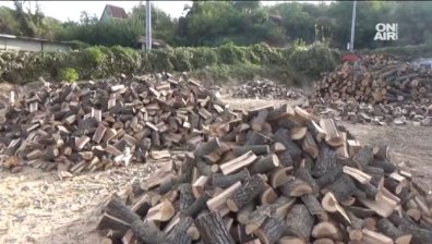 Зимата идва: Дървата за огрев се бавят и поскъпват