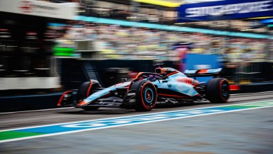 "Дракон на пистата!": Гущери стреснаха пилотите на Формула 1 по време на тренировка