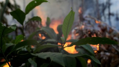 Обрат: Бразилия ще приеме финансовата помощ от Г-7