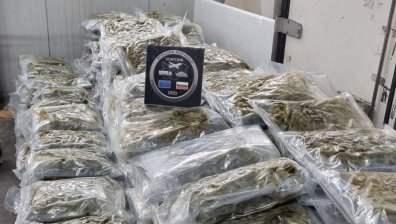 Удар за 6 млн. лв. на "Капитан Андреево" - иззеха рекордно количество марихуана