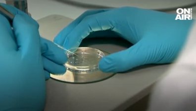 Специална инвитро процедура с тройно ДНК предотвратява опасността от рядка болест