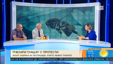 Пазар на меда: Цената на дребно леко се покачва, на едро - пада