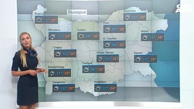 Валежи и силен вятър, жълт код за потенциално опасно време за 14 области