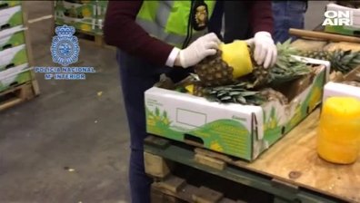 Хванаха 750 кг кокаин, скрит в... ананаси