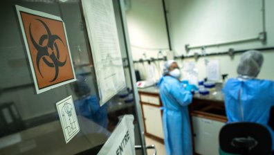 Тревожно: Откриха във Великобритания нов вид коронавирус у прилепи