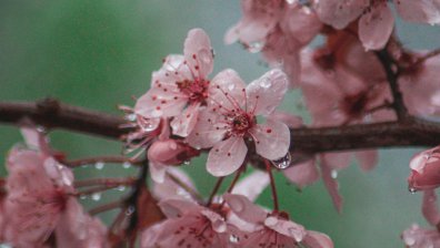 Събота ни носи мрачно време и жълт код за обилни валежи