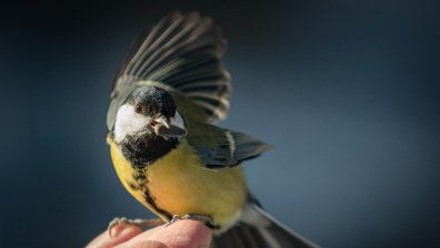 Седмична прогноза: Слънчев старт и дъждовен финал