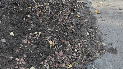 Как се поддържат парковете? Половин година пръст стои изсипана върху алея