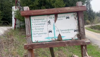 Тяло на мъж с обезобразено лице е открито във Витоша