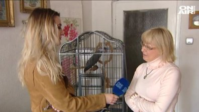 Папагалът имитатор Джаро