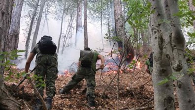 Продължава гасенето на пожара в Родопите с участието на военни и вертолет на ВВС