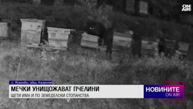 Обедна емисия