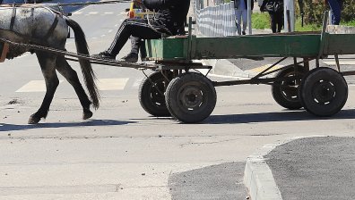 Лекари се борят за живота на жена, блъсната от каруца на пешеходна пътека в Севлиево