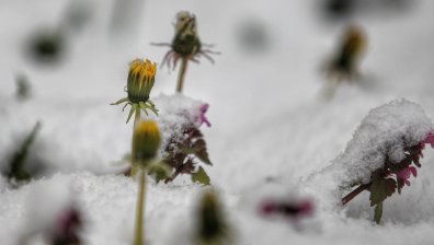 На отделни места днес ще превалява слаб сняг, облачността ще е значителна