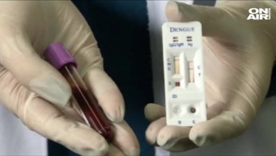 Откриха четири огнища на птичи грип в страната