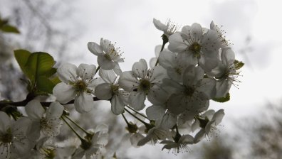 Времето днес: Облачно с превалявания и температури до 20 градуса