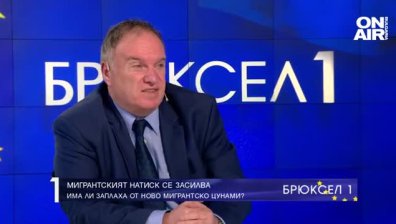 Проф. Чуков: Гърция има добра стратегия за мигрантския поток, при нас липсва политическа воля