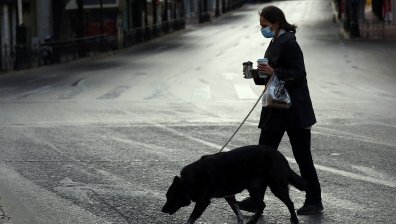 В Германия дресират кучета да откриват Ковид-19 с 94% точност