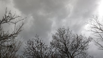 Новата седмица започва със студ и жълт код за силен вятър