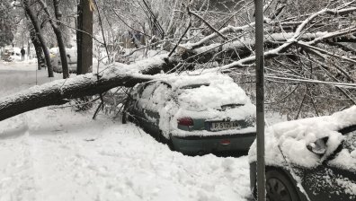 Зимата в България: Паднали дървета, прелели реки, закъсали коли, бедстващи хора (ОБОБЩЕНИЕ)