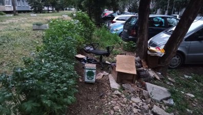 HelpBook: Съседи отглеждат картофи между блоковете в "Подуяне"