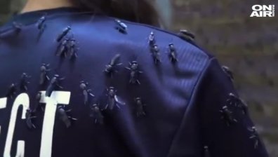 В Сингапур използват насекоми, за да превърнат боклука в съкровище (ВИДЕО)