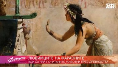 Питали ли сте се кои са били домашните любимци на египетските фараони?