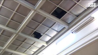 Част от покрива на Националната библиотека се срути върху читател