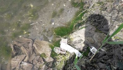 Helpbook: Варненското езеро е сериозно затлачено от боклуци