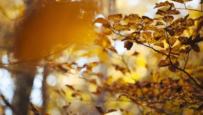 Неделята ни е подготвила топло и слънчево време - между 19&deg; и 24&deg;