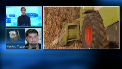 Не е ясен финансовия ефект за зърнопроизводителите от намалените субсидии