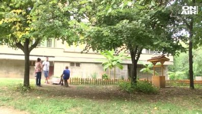 Бананови палми в Стара Загора