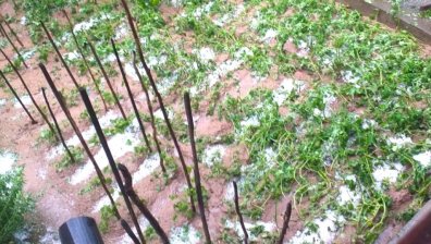 Силна градушка и интензивни валежи удариха няколко района в България