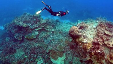 Застрашен ли е Големият бариерен риф заради промените в климата?