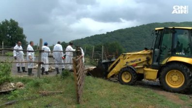 Чума отрови бургаското с. Кости! Умъртвяват се животни