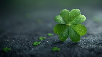 Няколко зодии ще се радват на повече късмет през август